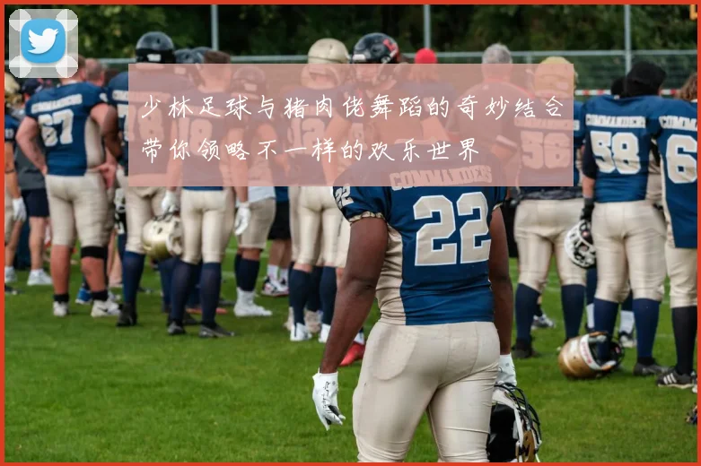 少林足球与猪肉佬舞蹈的奇妙结合带你领略不一样的欢乐世界