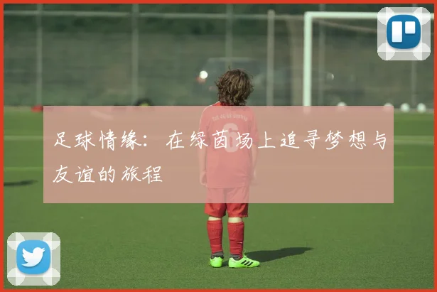 足球情缘：在绿茵场上追寻梦想与友谊的旅程