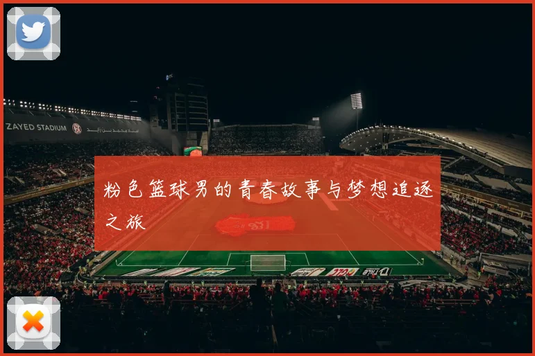 粉色篮球男的青春故事与梦想追逐之旅