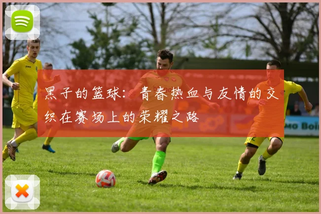 黑子的篮球：青春热血与友情的交织在赛场上的荣耀之路