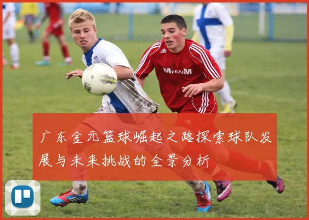 广东金元篮球崛起之路探索球队发展与未来挑战的全景分析