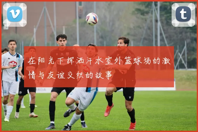 在阳光下挥洒汗水室外篮球场的激情与友谊交织的故事