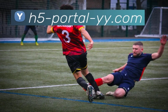 多媒体互动体验